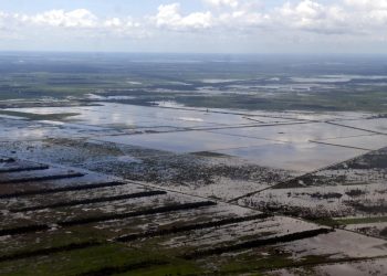 Lluvias afectan al menos 22.000 hectáreas de cultivos y 83 comunidades en San Julián