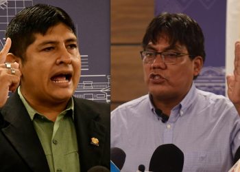 Ambos legisladores pertenecen al MAS. Foto: APG.
