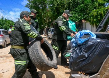 La minga en Santa Cruz eliminó 953.375 criaderos de insectos portadores del dengue