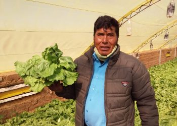 El BDP financia créditos a productores del país a una tasa del 0,5%