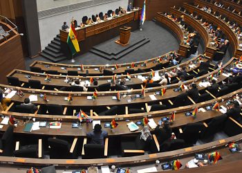 Ley del oro fue debatida en la ALP