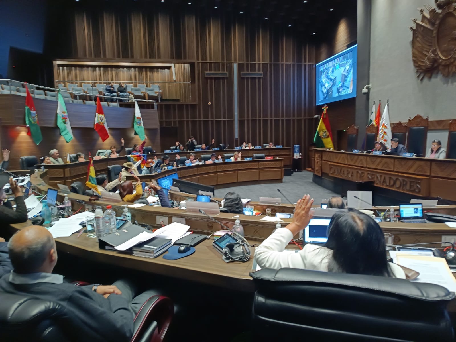 El Senado convocará a universidades y colegio de abogados para preselección de candidatos a las judiciales. Foto: Cámara de Senadores.