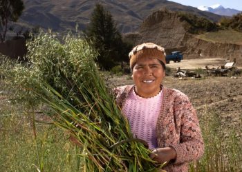 mujeres