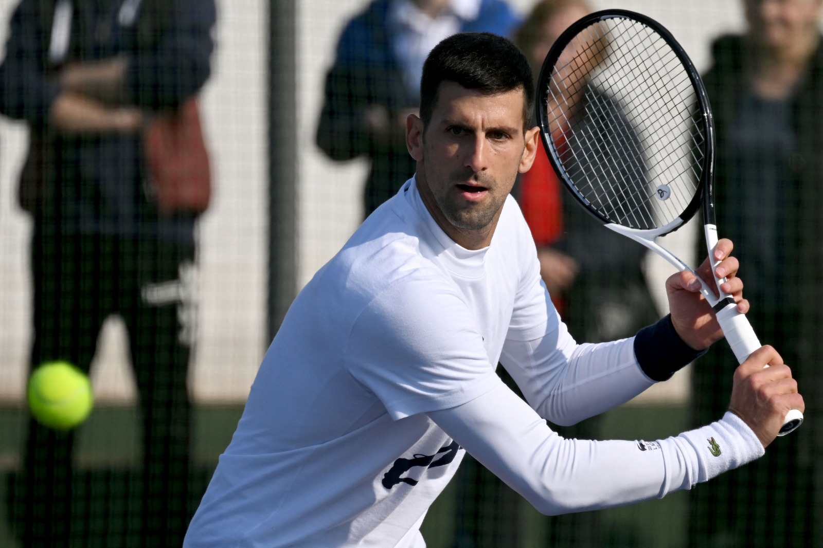 Djokovic