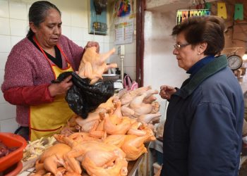 pollo