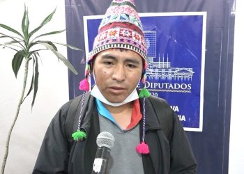 Las fricciones en el MAS continúan: Diputado “renovador” denuncia golpiza por parte de ‘evistas’. Foto: Cámara de Diputados.