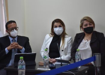 Defensa de Áñez afirma que juez ya tiene el aval del TSJ para iniciar un juicio ordinario por el caso Senkata. Foto: APG.