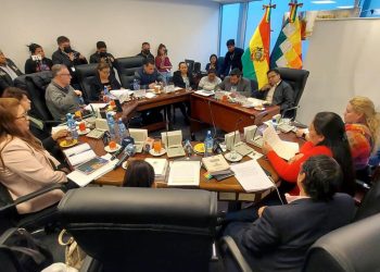Oposición denuncia que el MAS rechazó sus propuestas para las judiciales antes de analizarlas. Foto: APG.