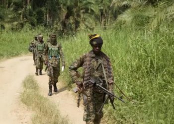 Un nuevo ataque de las ADF deja siete muertos en el este de RDC.