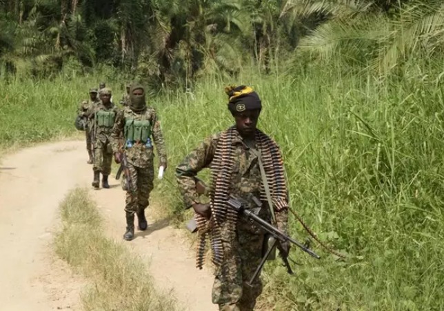 Un nuevo ataque de las ADF deja siete muertos en el este de RDC.
