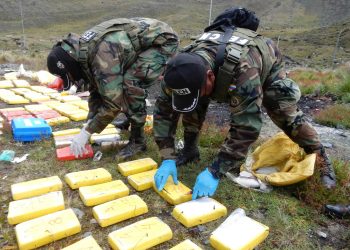 Hay preocupación en la ONU por el incremento en la producción de coca.