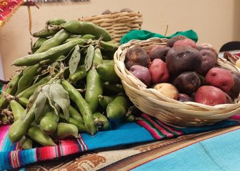 ¿Busca papa, haba, choclo o frutas a buen precio? Vaya a la feria ‘Del campo a la olla’