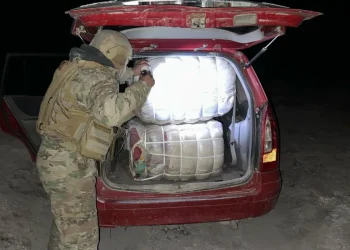 El CEO afecta al contrabando en más de Bs 326.000