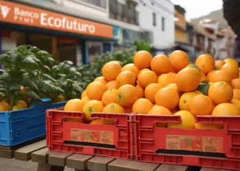 Ecofuturo lanza EcoDPF Valor, una alternativa segura para proteger el valor de los ahorros