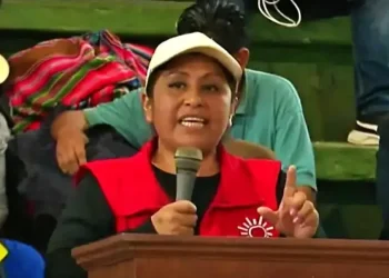 Sala plena del TSE definirá acciones por las amenazas de Nina