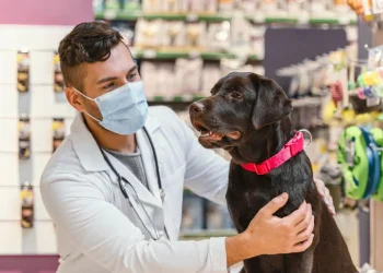 INTI sugiere que el cuidado de las mascotas debe ser preventivo