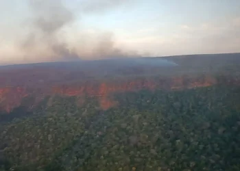 incendio_parque.jpg