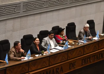 Diputados rechazan crédito externo de $us 100 millones