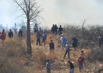 Mineros medianos rechazan avasallamientos y exigen respeto a la ley