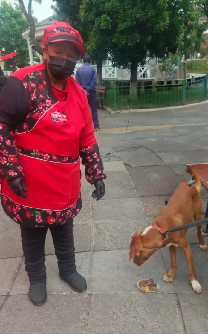 Vendedoras de anticuchos inician campaña para esterilizar a perros callejeros. FOTO: GAMLP