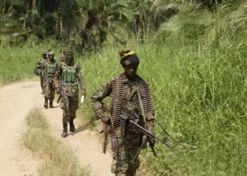 El Ejército de República Democrática (RDC) el Congo ha confirmado la muerte de Fezza Mulalo, alias 'Seguja'. Foto: Xinhua News