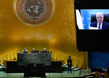 abas_onu.jpg
