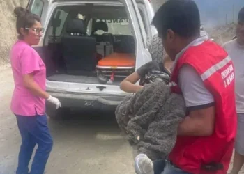 Tres muertos y niño herido tras caída de vehículo en Caranavi