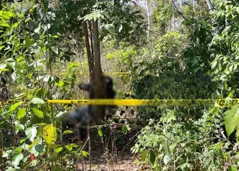 Hallan pareja asesinada y atada a árbol en comunidad en Pando