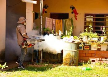 Funcionarios fumigan una de las casas para evitar la proliferación del mosquito que trasmite el dengue. Foto: Archivo