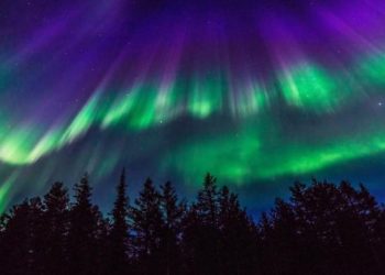 Investigadores buscan conocer los secretos de las auroras boreales. Foto: AFP