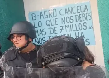 Trabajadores reclaman a B-Agro Bs 7 millones por desmonte pendiente