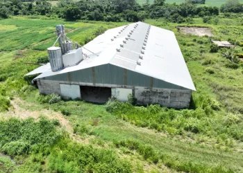 Gobierno confirma irregularidades en gestiones de B-Agro