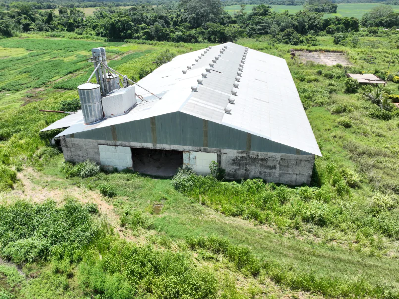 Gobierno confirma irregularidades en gestiones de B-Agro