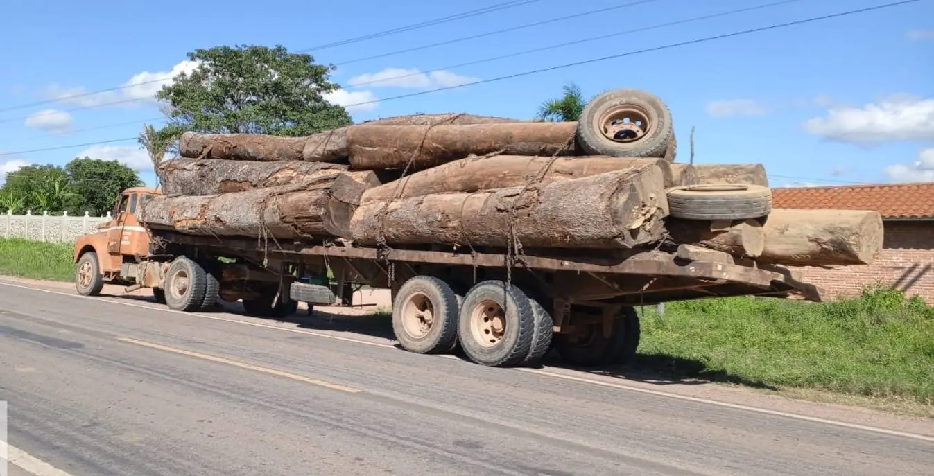 Peruanos ingresan a tierras bolivianas a bordo de “triples” para traficar la madera. FOTO: ABT