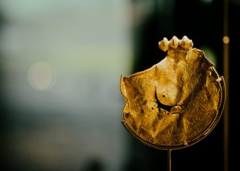 Anillos, collares, monedas de oro y otros tesoros son parte de la exhibición. Foto: AFP