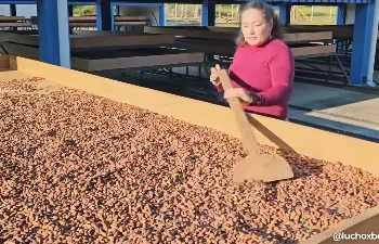 Arce resalta 86% de avance en planta procesadora de cacao en Pando