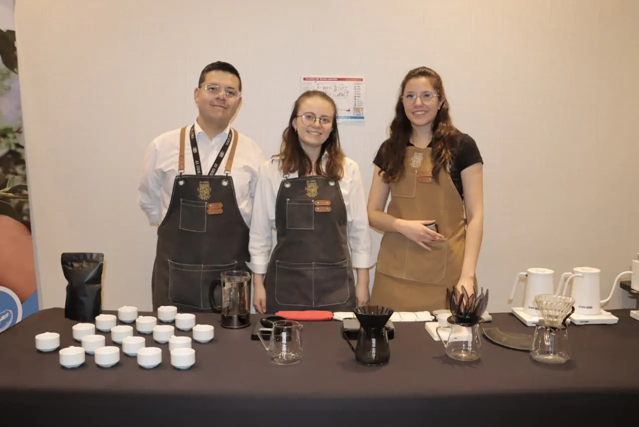 La Paz concentra el 96% del café boliviano cultivado