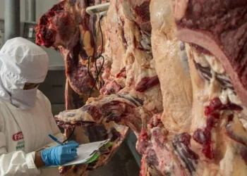 carne