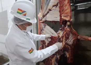 carne