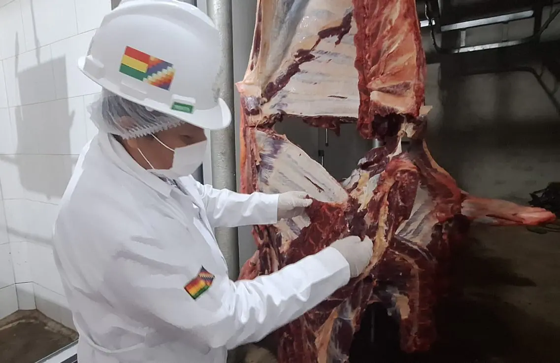 carne