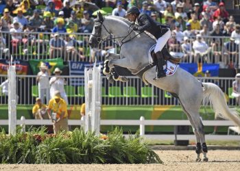Un laboratorio chino presentó este jueves en Pekín un caballo clonado. Foto: AFP.