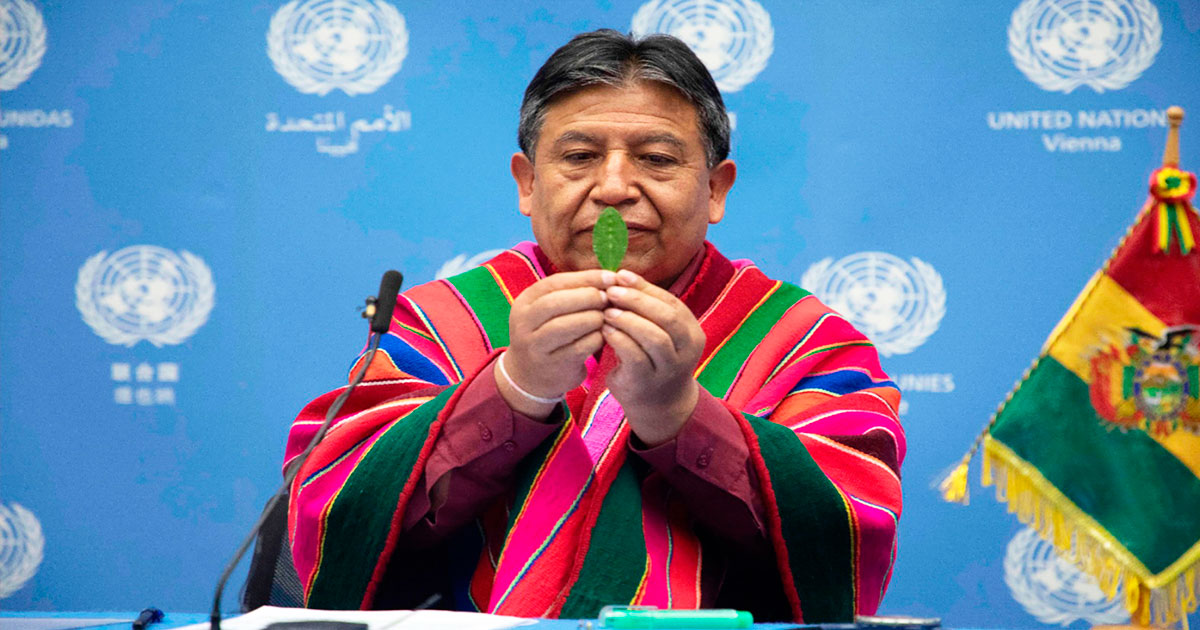 coca-choquehuanca