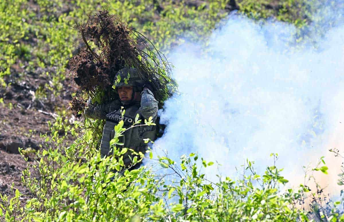 coca_en_mexico.jpg