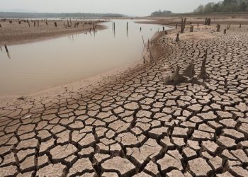 La COP28 se celebrará entre noviembre y diciembre de 2023 en Dubái. Foto: AFP