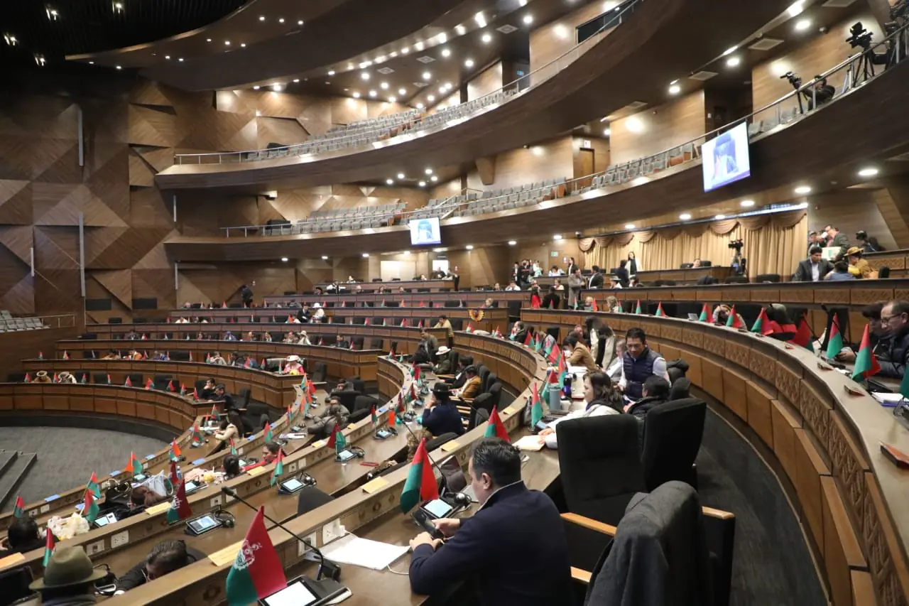 Asamblea suspende sesión que trataba crédito de $us 30 millones
