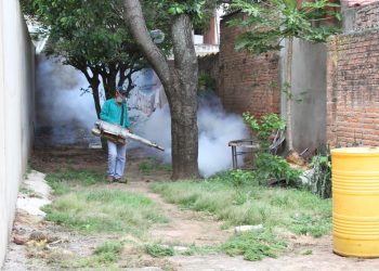 Pinden mitigar el vector para parar con la enfermedad del dengue. Foto: Archivo