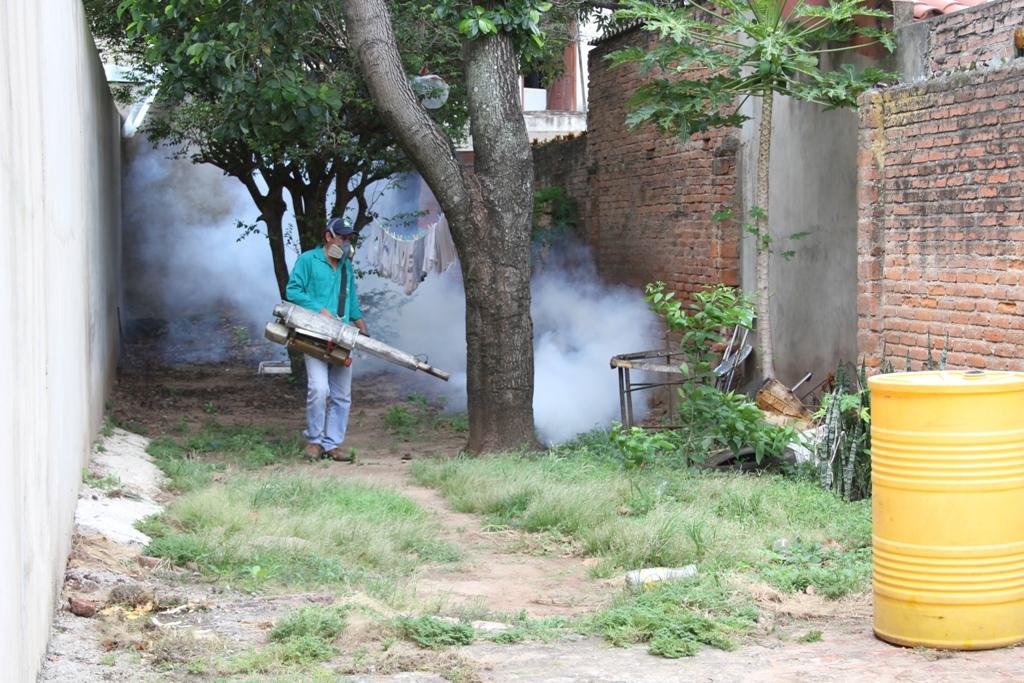 Pinden mitigar el vector para parar con la enfermedad del dengue. Foto: Archivo