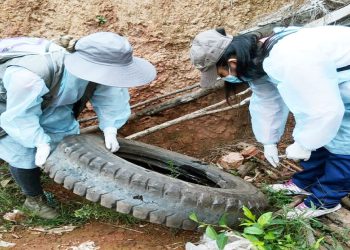 Labor. La tarea debe ser desechar objetos donde se junta agua.