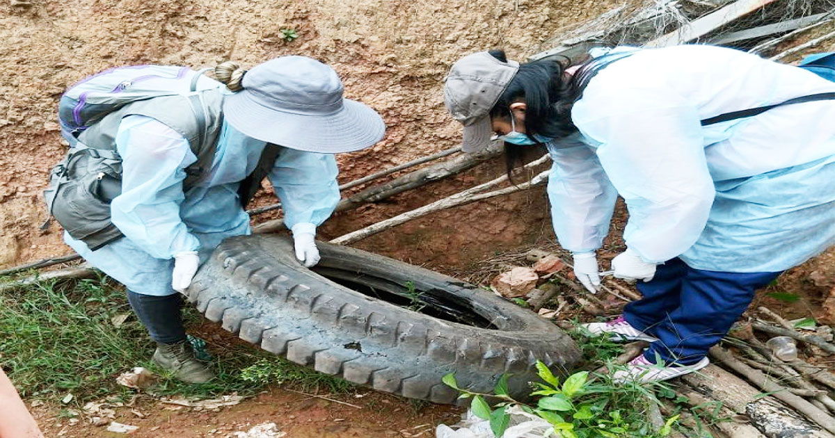 Labor. La tarea debe ser desechar objetos donde se junta agua.