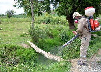 Toman acciones preventivas contra el dengue en Cochabamba. Foto: Archivo
